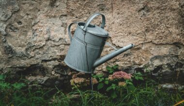 Gieter bij potplanten op aarde