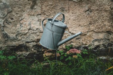 Gieter bij potplanten op aarde