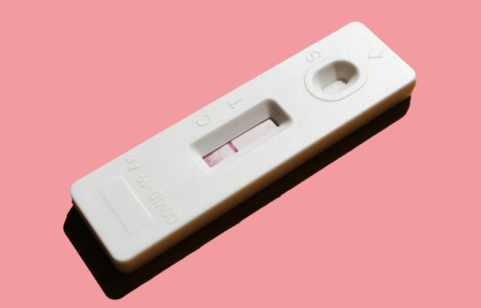 Tofu bovenaan in een test van twintig eiwitbronnen: wat de vergelijking echt zegt