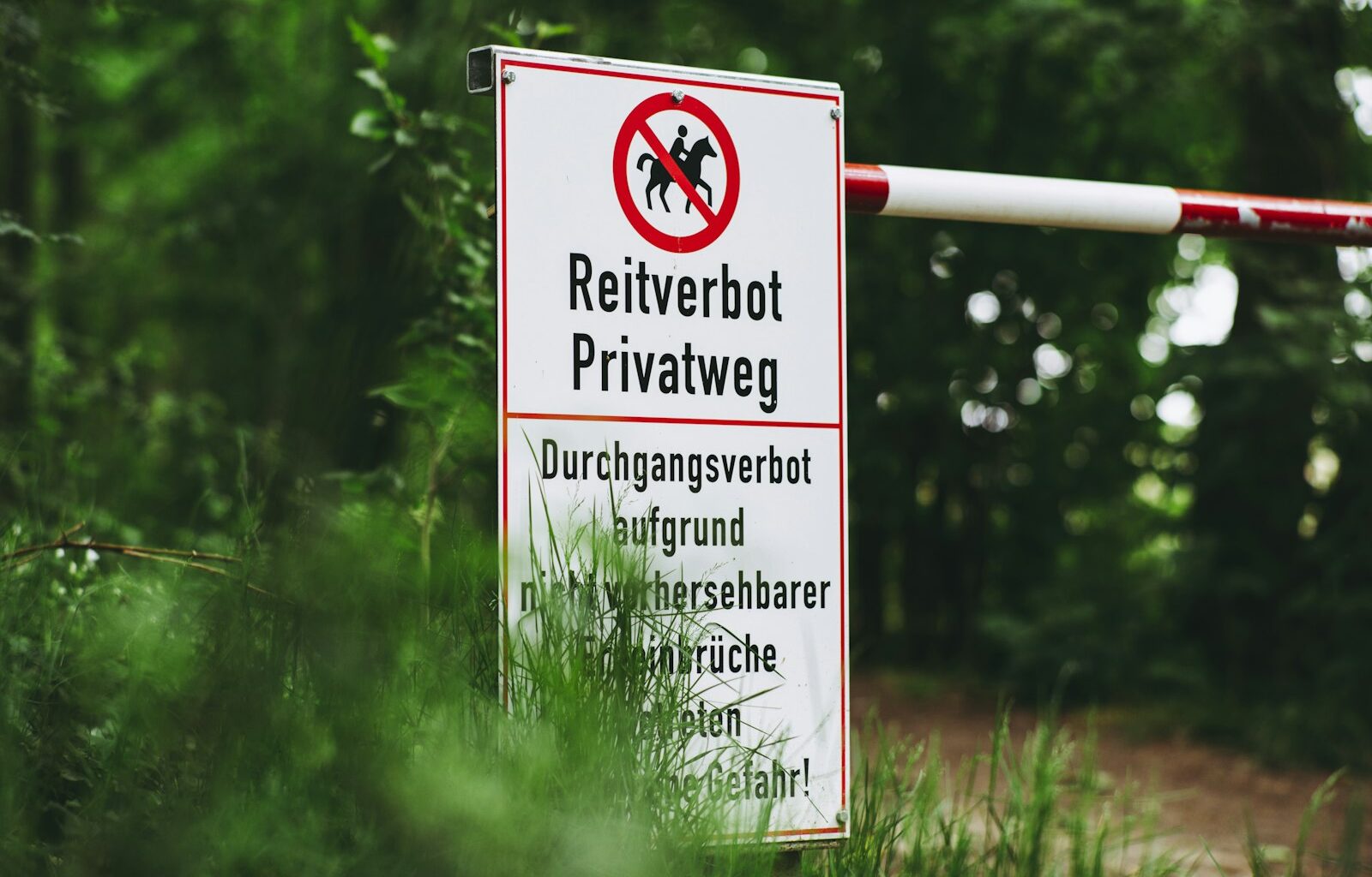 Nieuwe eiwitrichtlijnen: zoveel plantaardig eiwit moet er op je bord