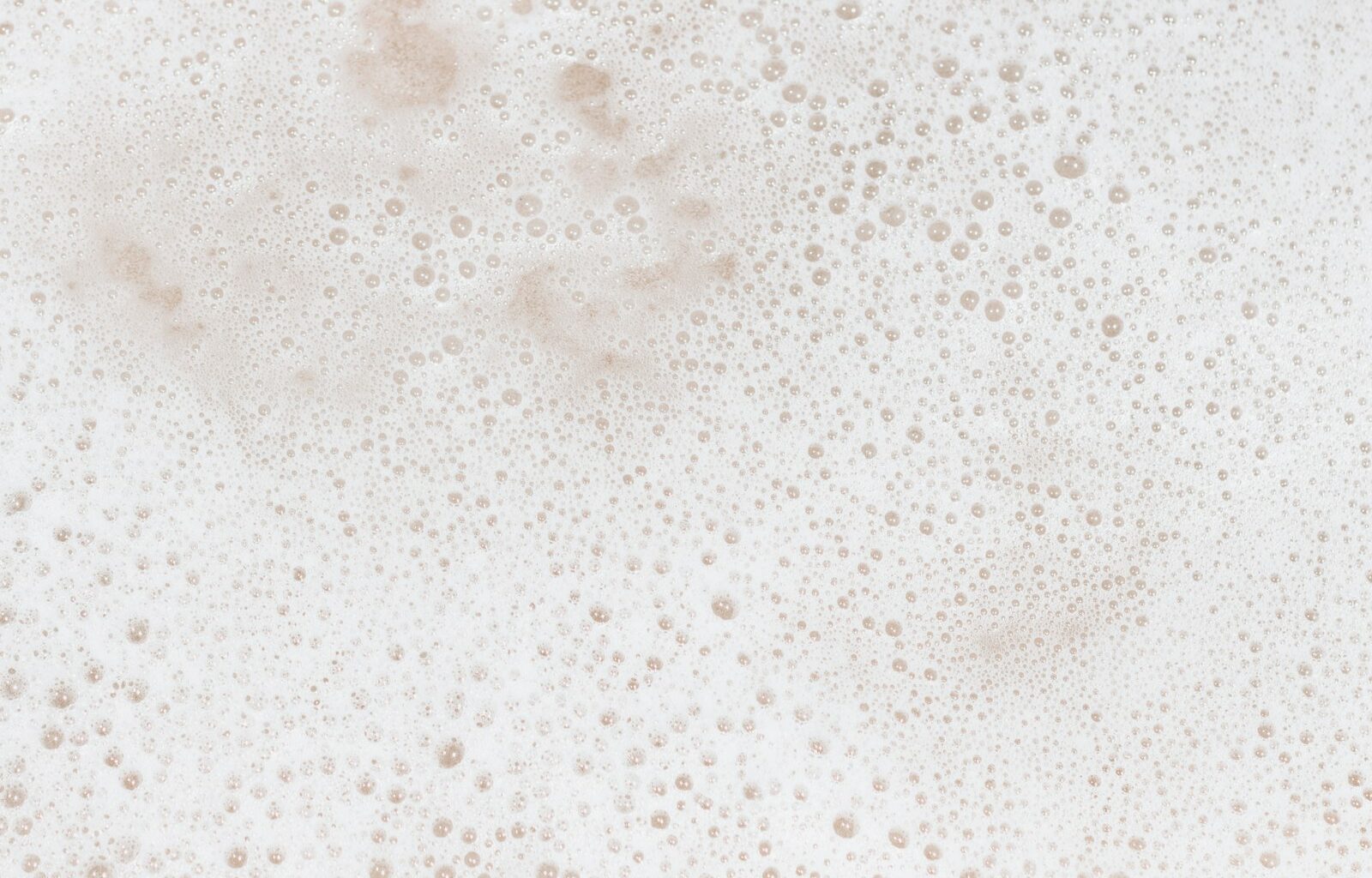 Plantaardige melk opschuimen: haver wint, kokos verliest