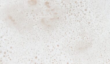 Plantaardige melk opschuimen: haver wint, kokos verliest
