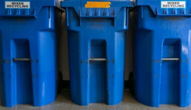 a couple of blue trash cans sitting next to each other