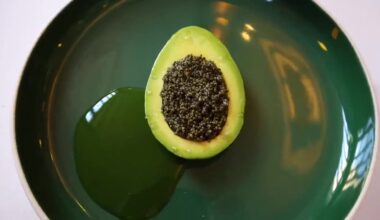 Gerecht in een groene schaal bij Eleven Madison Park in New York