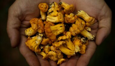 Geroosterde gele bloemkoolroosjes met verse kruiden en granaatappelpitjes
