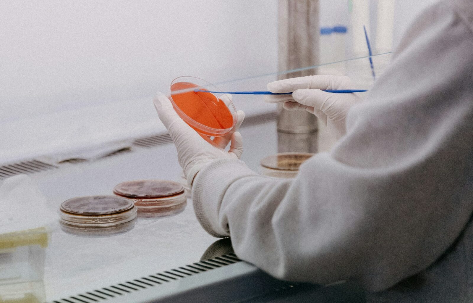 Petrischalen en een pipet in een laboratorium voor celkweek