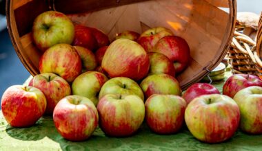 Kist met verse rode en groene appels uit de boomgaard