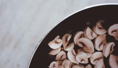 Pan met stroganoff van gebakken paddenstoelen in romige saus met verse dille
