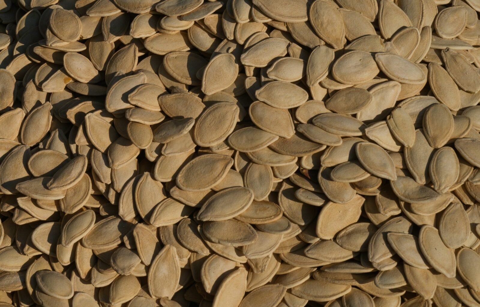 Geroosterde pompoenpitten op een bakplaat naast een uitgeholde pompoen