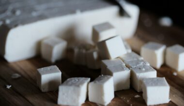 Blokken tofu en tempeh op een snijplank